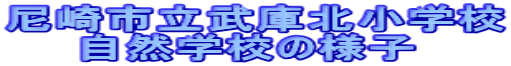���s�����ɖk���w�Z �@�@���R�w�Z�̗l�q