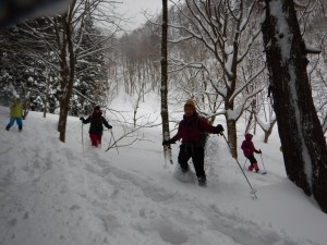 DSCN2780