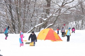 IMG_6803