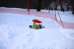 IMG_1902