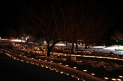 IMG_2010
