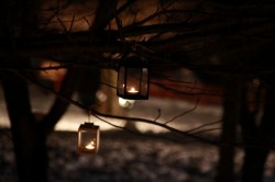 IMG_2012
