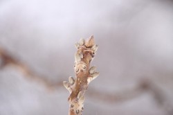 IMG_2284
