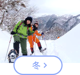 冬