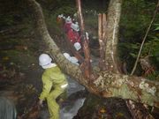 助け合って登ります