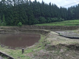 田植え前の体験農園の様子①