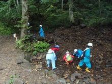 渓流の生物観察