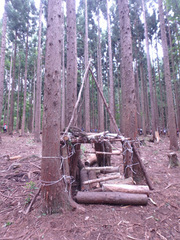 先生の本気