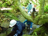 沢登り