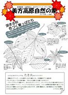 11月