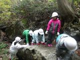 こんな岩だって登ります