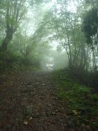 ロゲイニングの1コマ