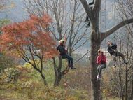 ３人で仲良く一緒に