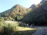 紅葉の山