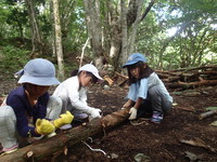 今日も頑張ろう！