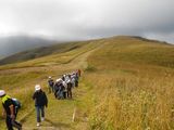 もうすぐ山頂です