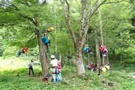 頑張って登ろう