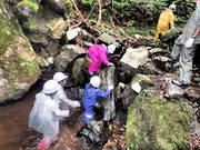 4本足で歩くこと