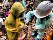 知性が開くとき