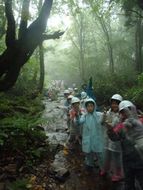 登りはじめはゆっくりと