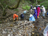 沢の生き物探し