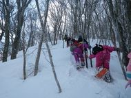どんどん登ります