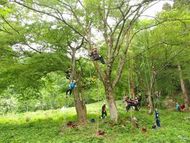 ツリーイングで「ヤッホー」