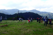 草むら広場で生き物探し