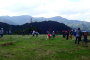 草むら広場で生き物探し