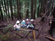 森の中のお昼ご飯