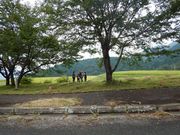 オリエンテーリング①