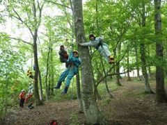 ツリーイングを楽しもう！