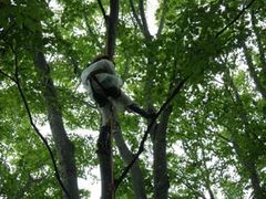 高い所からの景色をながめて