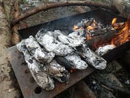 おやつの焼き芋