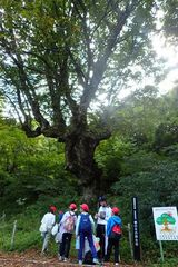 オリエンテーリング