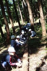 運びやすいように