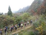 ひたすら登り道
