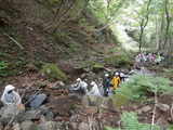 沢登り