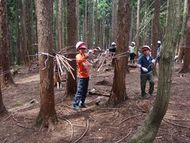 屋根つき