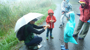 雨の散歩