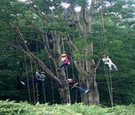 誰が一番高いかな？