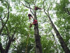 だれが一番早いかな