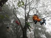 どんなふうに見える？