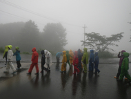 午後になると雨が激しくなってきた