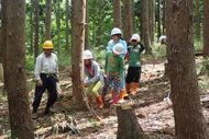 間伐開始