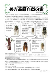 2017年8月号