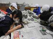 何を描くのでしょう？