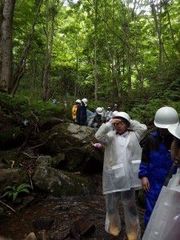 沢登りはこんな場所