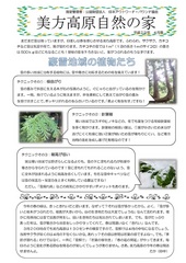 2017 4月号