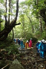 沢登り